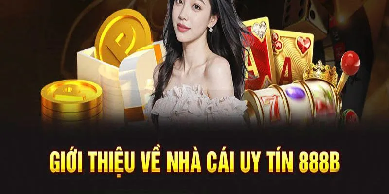 Tổng quan giới thiệu 888B